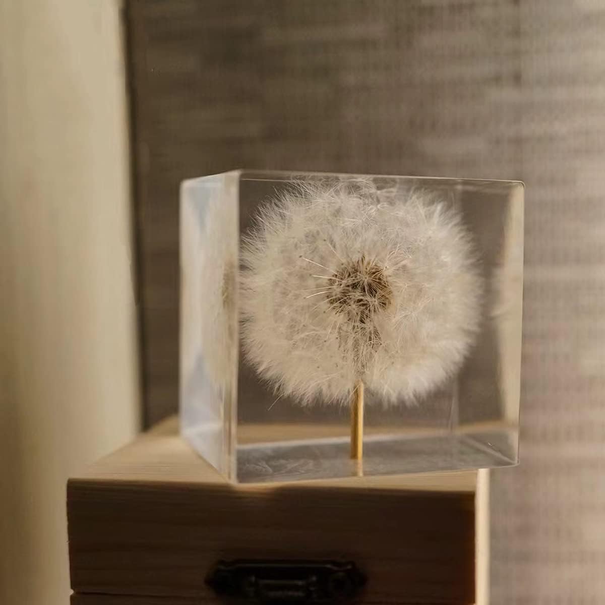 DESHINTKE Cube Dandelion Specimen Paperweight with Wood Box, 2 inch Transparent Real Dandelion Desktop Decor Decoration 2 51Gupu2em0L. AC SL1200 - northernschoolofshiatsu.co.uk