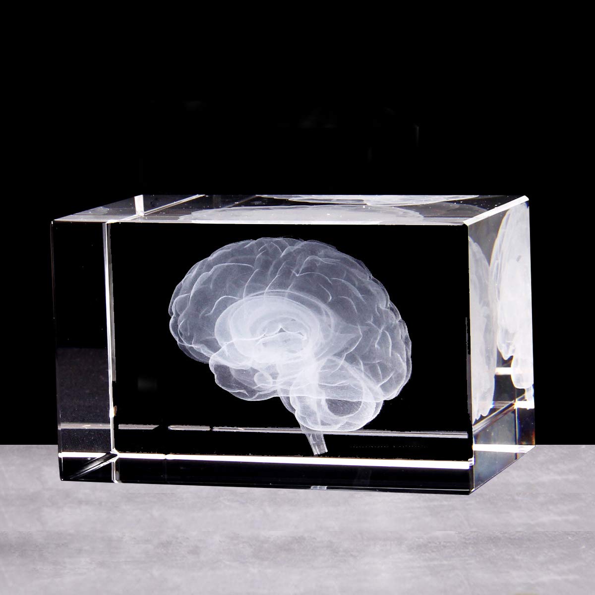 3D Human Brain Anatomical Model Paperweight(Laser Etched) in Crystal Glass Cube Science Gift (No Included LED Base)(3.1x2x2 inch) 1 610uYfX68+L. SL1200 - northernschoolofshiatsu.co.uk