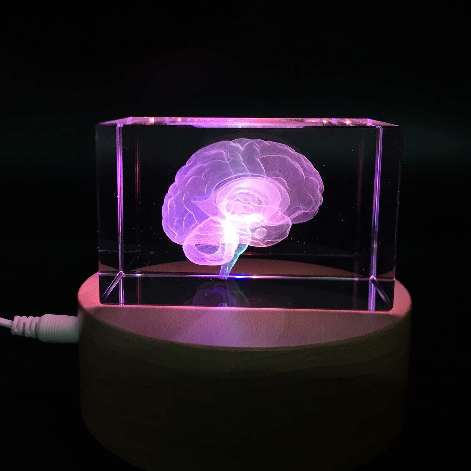 3D Human Brain Anatomical Model Paperweight(Laser Etched) in Crystal Glass Cube Science Gift (No Included LED Base)(3.1x2x2 inch) 8 615XjaoXJ7L. SL1500 - northernschoolofshiatsu.co.uk
