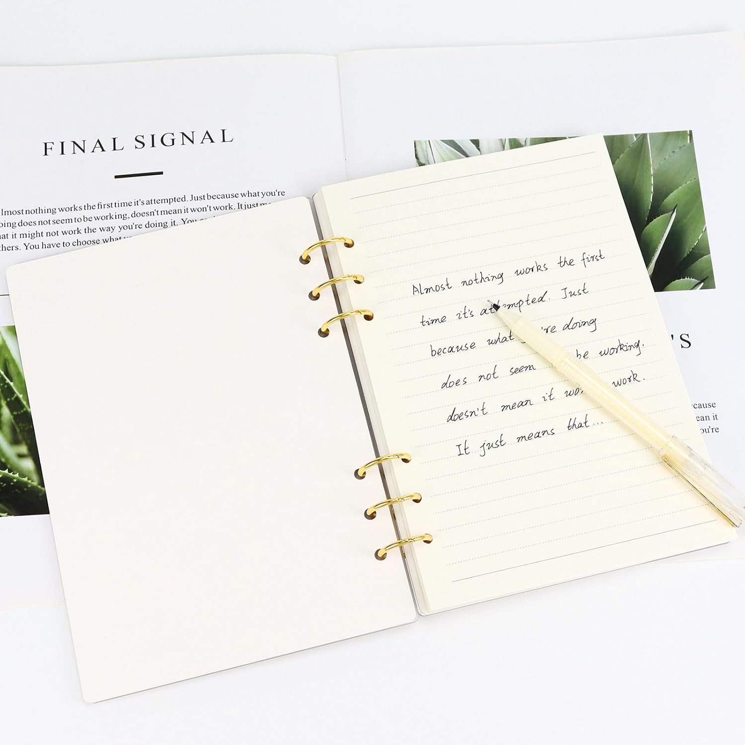 A5 Binder 6-Ring Frosted Acrylic Binder Notebook Cover, Gold Metal Round Ring with 45 Sheets Lined Inner Papers, A5 Planner Budget Binder (Frosted, A5) 9 619c00EEwFL. AC SL1500 - northernschoolofshiatsu.co.uk