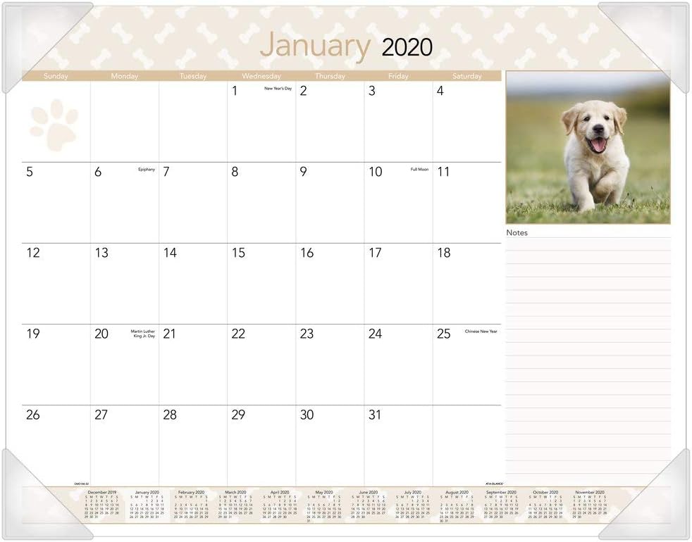 2021 Desk Calendar by AT-A-GLANCE, Monthly Desk Pad, 21-3/4" x 17", Standard, Puppies (DMD1663221) 1 61E1ZLK1K1L. AC SL1000 - northernschoolofshiatsu.co.uk