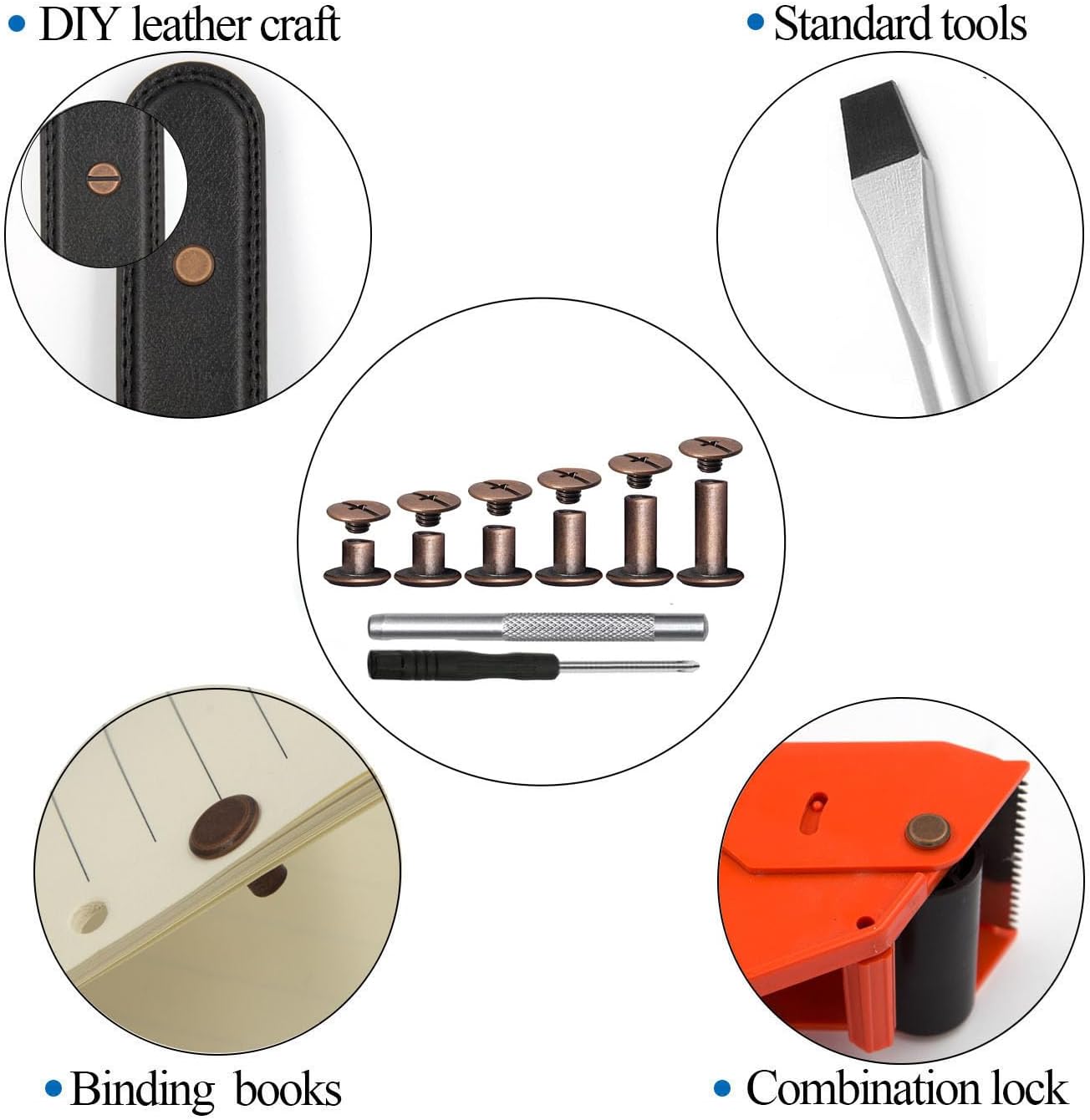 100 Pcs (50 Pair) Gun Black Phillips Chicago Binding Screws Assorted Kits,6 Sizes of Flat Head Rivet Hollow Binding Screws Posts, for Leather Saddles Purses Belt Repair(M5x5/10/15/25/35/45) 80 61Wow5NpT3L. AC SL1500 - northernschoolofshiatsu.co.uk