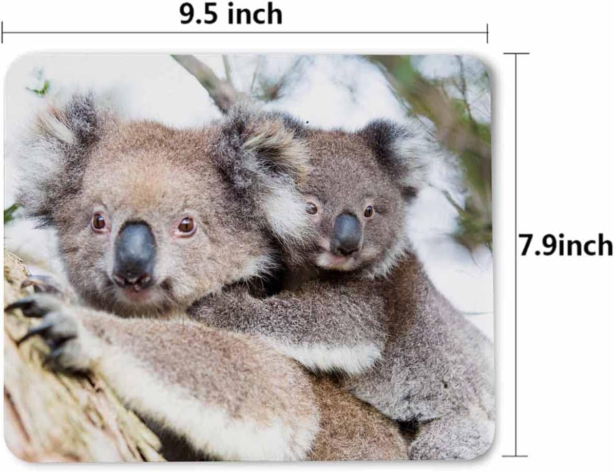 Pehede Mouse pad with Anti-Slip Rubber Base, Easy Gliding,Computer Mouse Mat for Computers, Laptop, Gaming, Office & Home, 7.9 * 9.5 in,Australia Baby Koala Bear and Mom in Tree 6 61hPcR2PfwL. AC SL1300 - northernschoolofshiatsu.co.uk