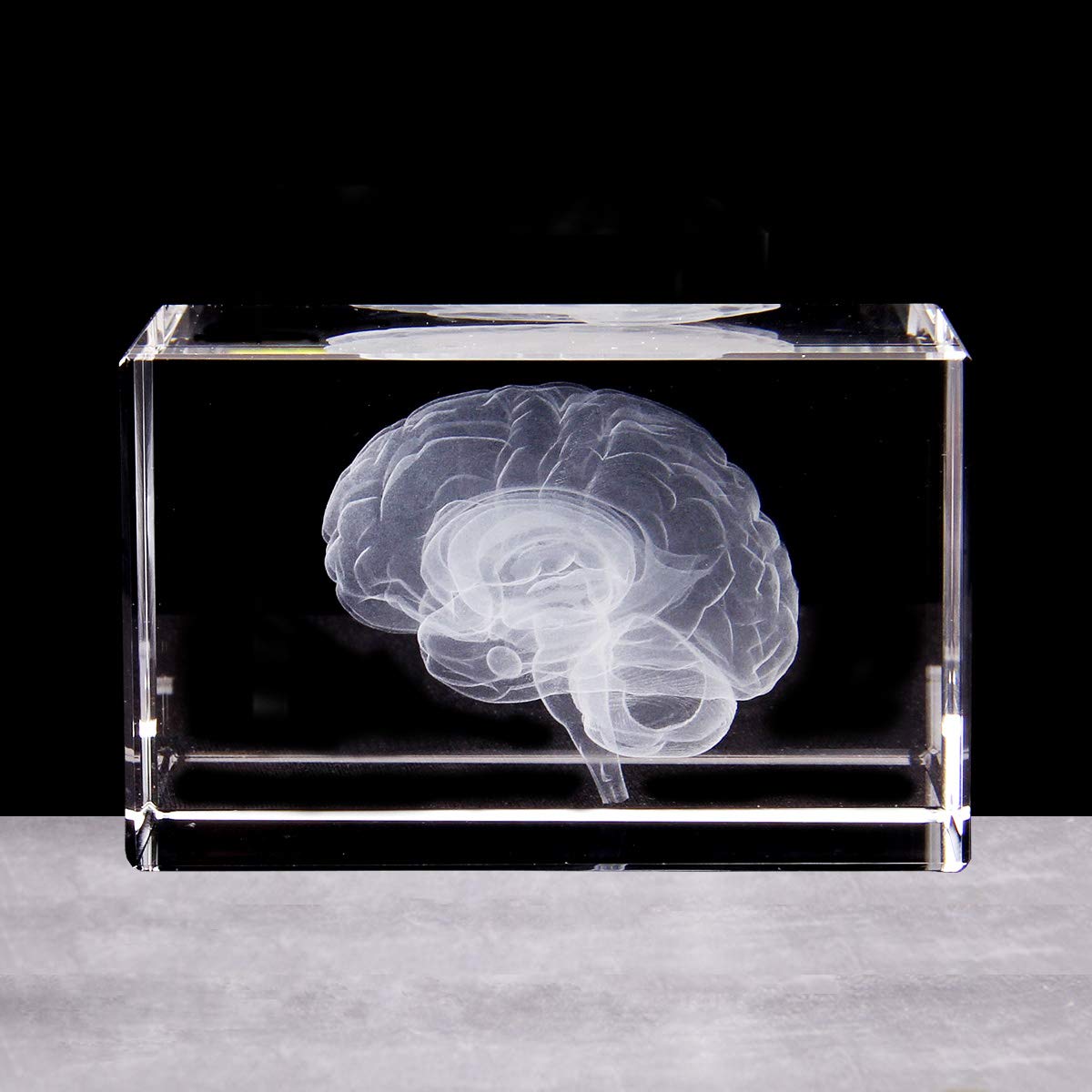 3D Human Brain Anatomical Model Paperweight(Laser Etched) in Crystal Glass Cube Science Gift (No Included LED Base)(3.1x2x2 inch) 3 61zmjJgGT4L. SL1200 - northernschoolofshiatsu.co.uk