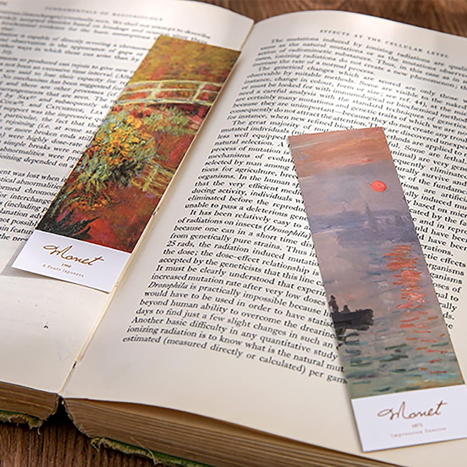 Doraking 30PCS Van Gogh Art Works Paper Bookmarks for Book Lovers, Boxed Famous Print Bookmarks Set (Painting) 4 719V2fmSz2L. AC SL1500 - northernschoolofshiatsu.co.uk
