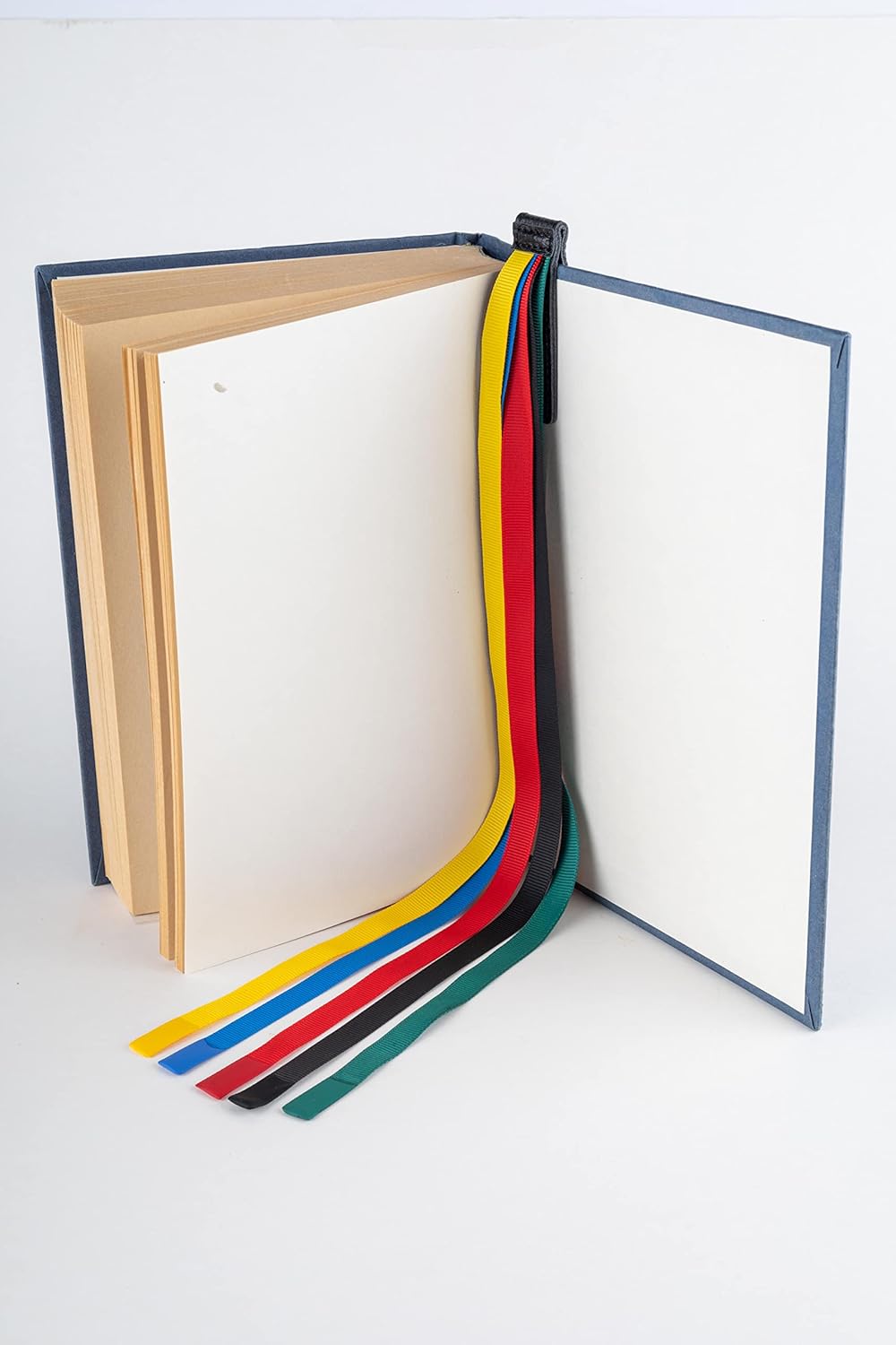 Superior Essentials Magnetic Bible Bookmark - Genuine Leather, Attachable Bible Ribbon Bookmarks for Book Lovers with 5 Colorful Strings (Forest, 1PC) 30 71m0TRhT9WL. AC SL1500 - northernschoolofshiatsu.co.uk