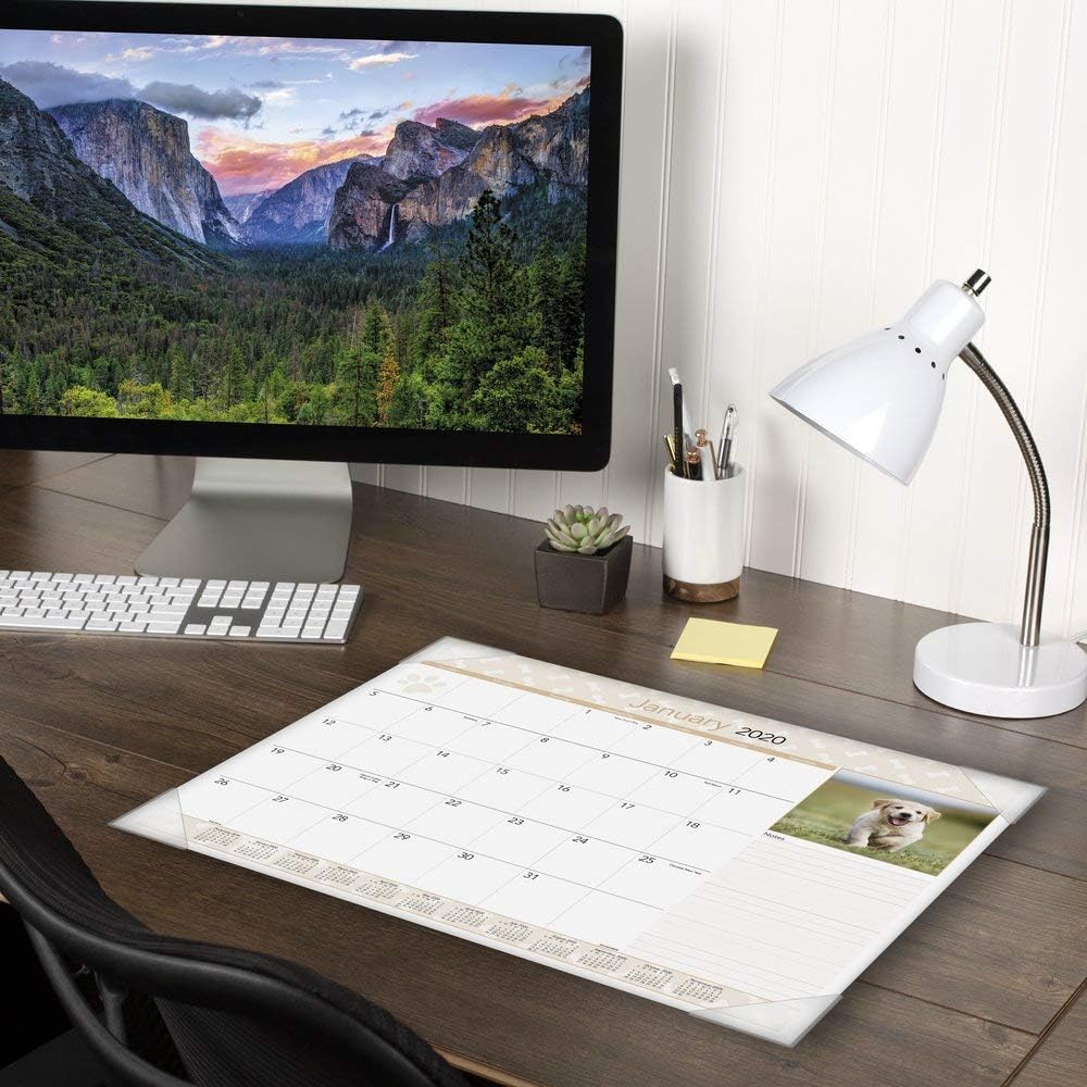 2021 Desk Calendar by AT-A-GLANCE, Monthly Desk Pad, 21-3/4" x 17", Standard, Puppies (DMD1663221) 2 71mmEJ7vOkL. AC SL1000 - northernschoolofshiatsu.co.uk