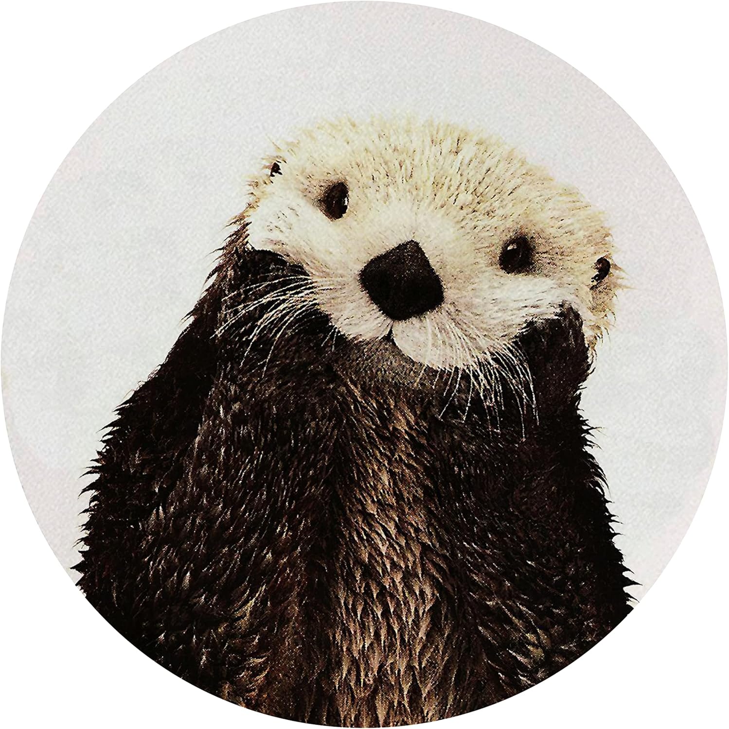 QUICQOD Cute Marine Wildlife Sea Otter Mouse Pad,Non-Slip Rubber Base Mousepads for Home Office Dorm Desk Decor,Gifts for Otter Lovers,8.7 x 8.7 Inches 1 813 w+u1ZDL. AC SL1500 - northernschoolofshiatsu.co.uk