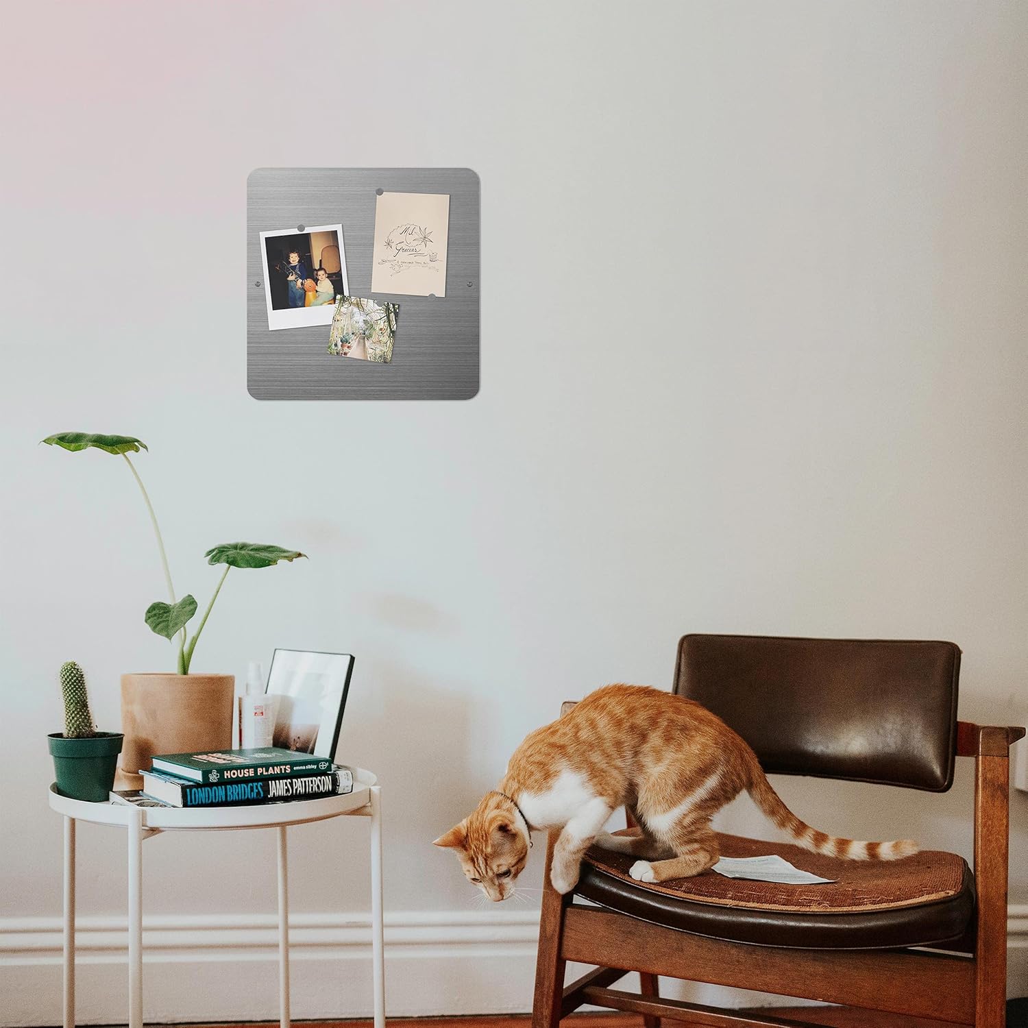 Three by Three Seattle 12 x 12 Inch Metal Frameless Magnetic Bulletin Board with 12 Magnets for Memos, Photos, Lists, and More in Office, Home, or School Décor (White) 18 - northernschoolofshiatsu.co.uk